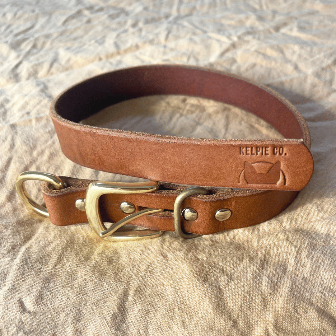 Custom Kelpie Collar with Western Name Printed - Genuine Australian Leather