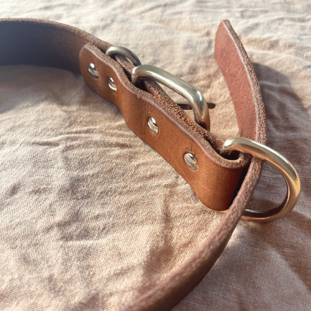 Custom Kelpie Collar with Western Name Printed - Genuine Australian Leather