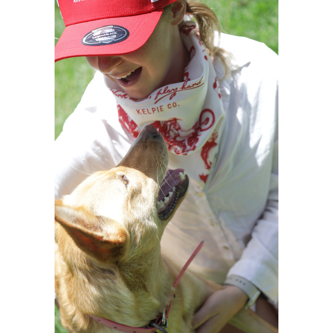 Kelpie Bandanna