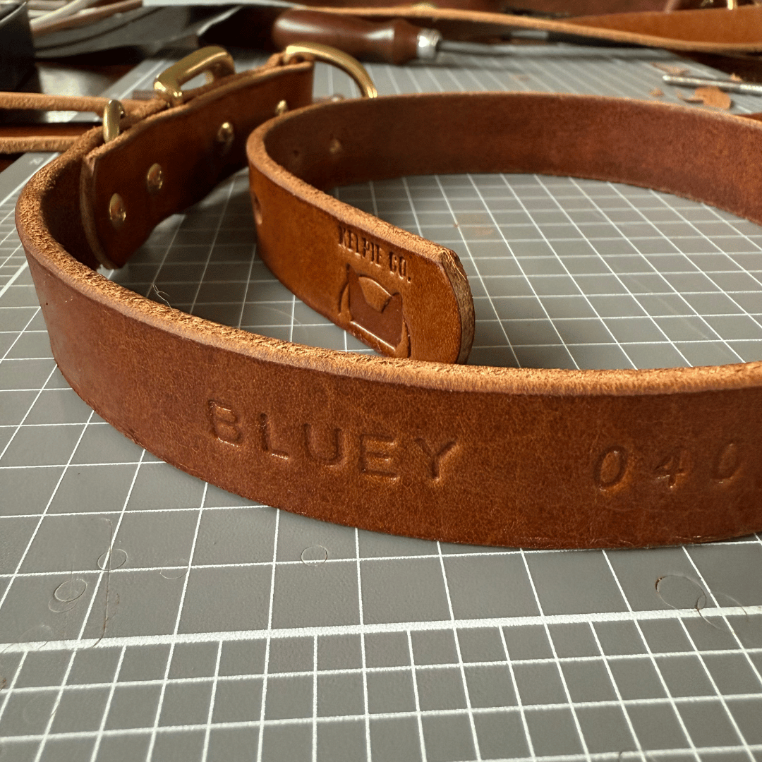 Custom Kelpie Collar with Western Name Printed - Genuine Australian Leather
