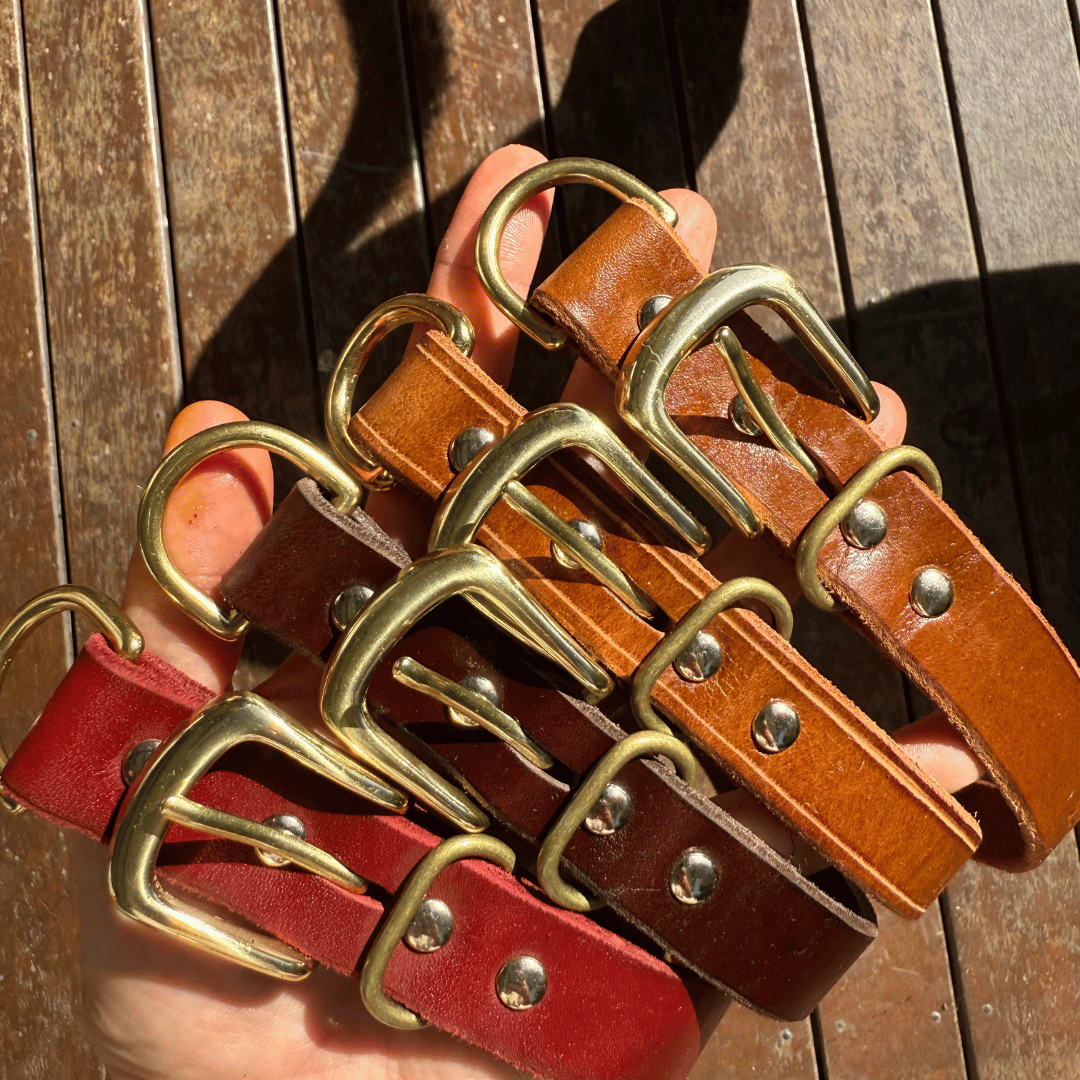 Custom Kelpie Collar with Western Name Printed - Genuine Australian Leather