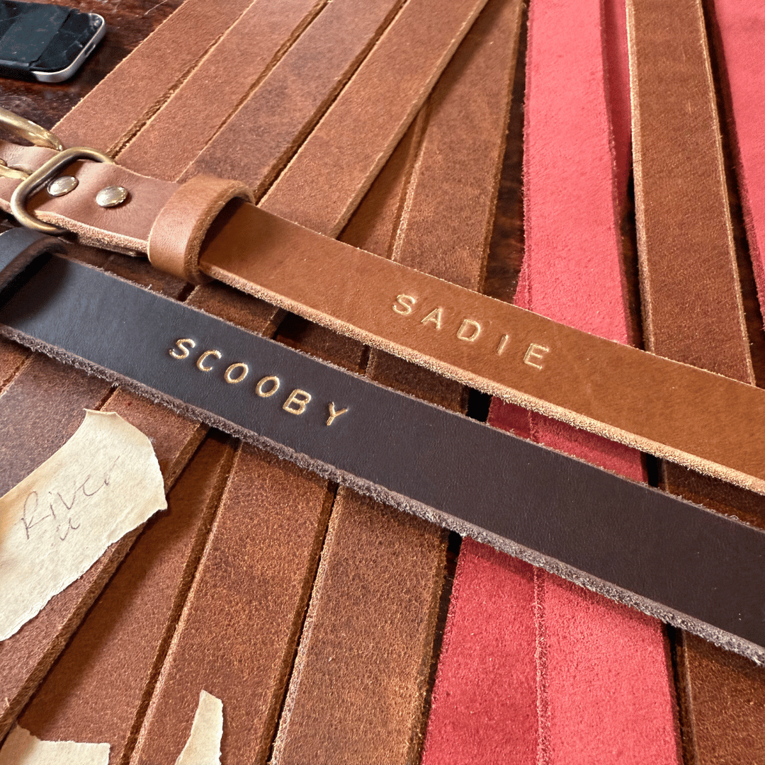 Custom Kelpie Collar - Genuine Australian Leather