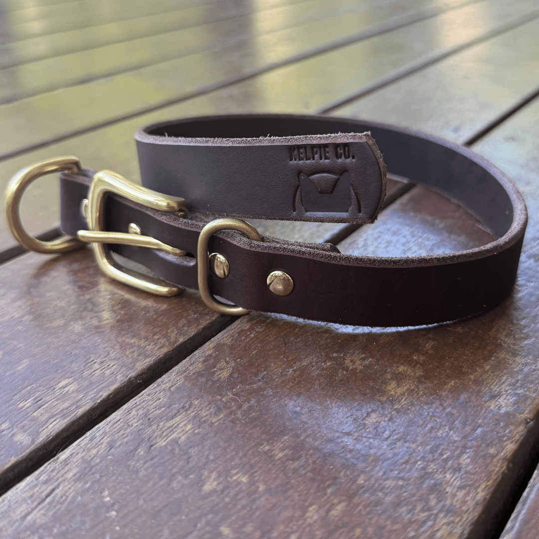 Custom Kelpie Collar with Western Name Printed - Genuine Australian Leather