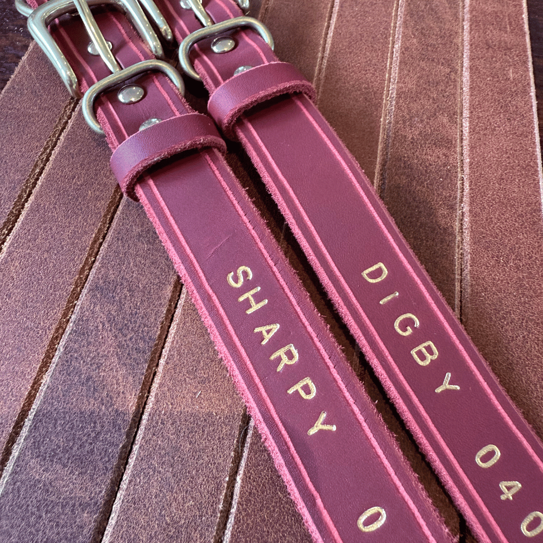 Custom Kelpie Collar - Genuine Australian Leather