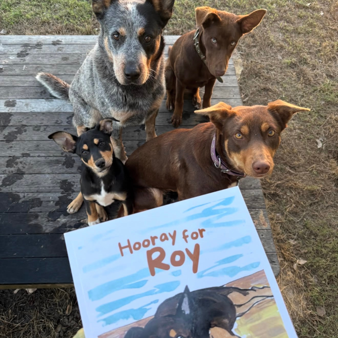 'Hooray for Roy' Kelpie Children's Book