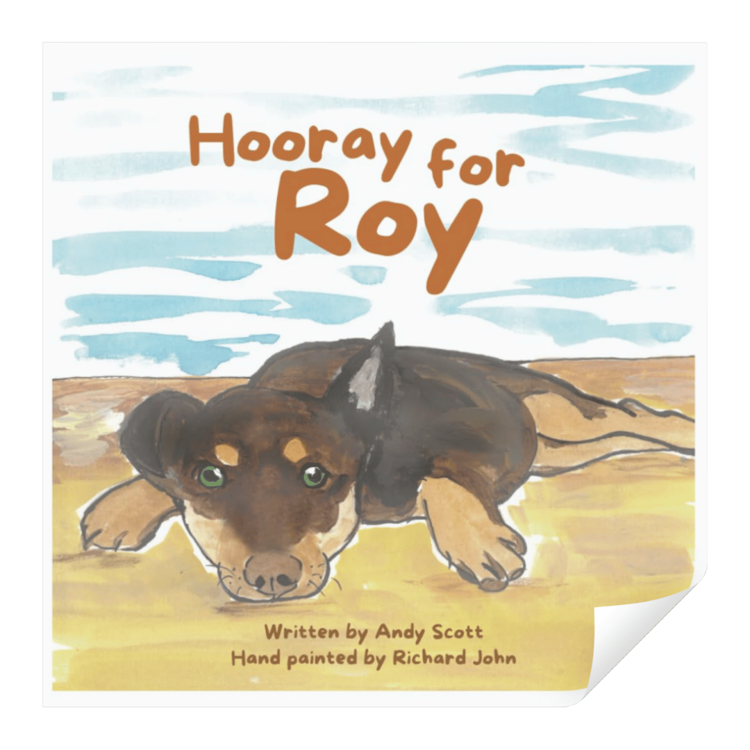 'Hooray for Roy' Childrens Book