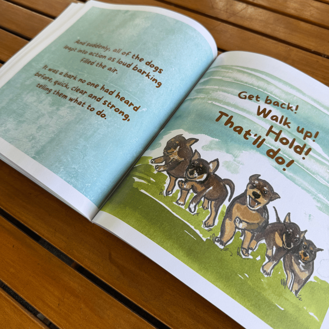 'Hooray for Roy' Childrens Book