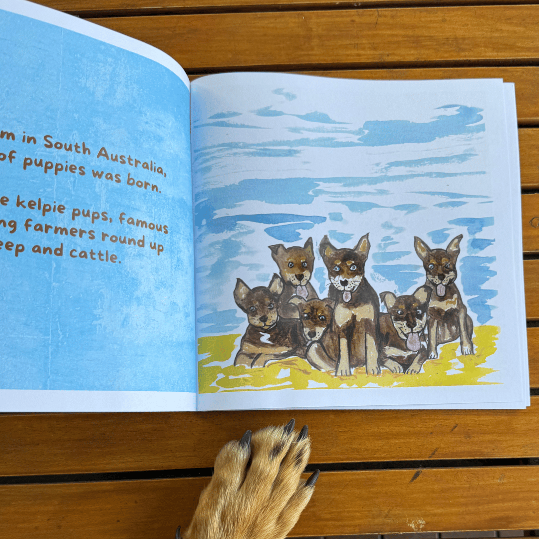 'Hooray for Roy' Childrens Book