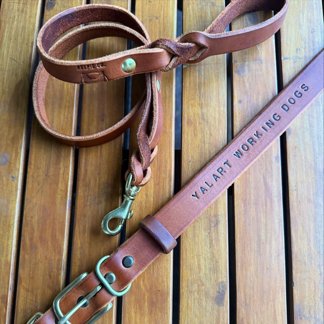 Kelpie Co. Australia Leather Dog Leads