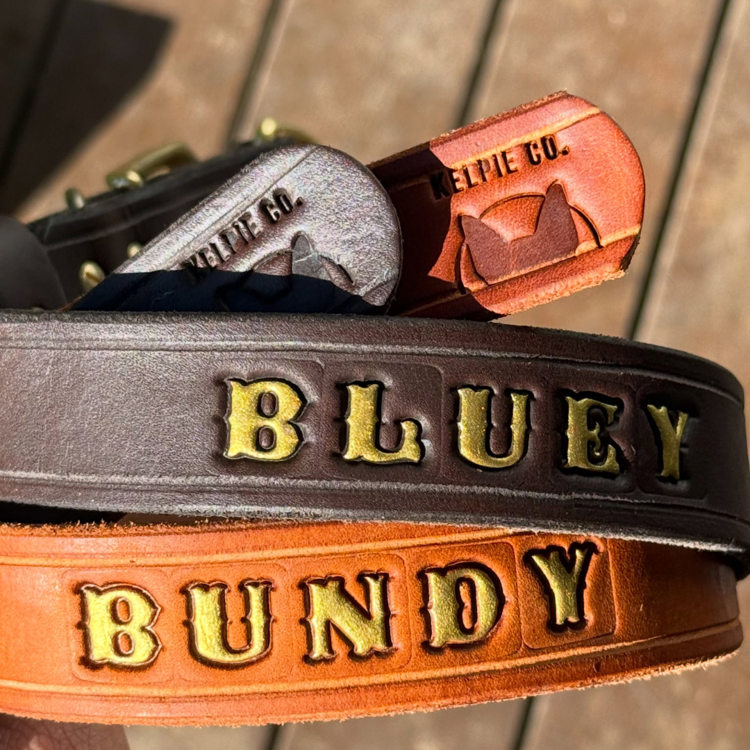 Custom Kelpie Collar with Western Name Printed - Full Grain Australian Leather