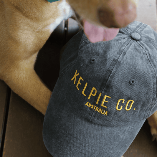 Kelpie Cap - Kelpie Co. Original Dad Hat