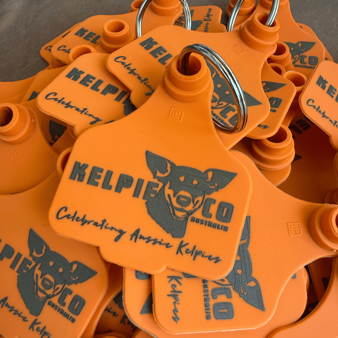 Kelpie Co. Cattle Tag
