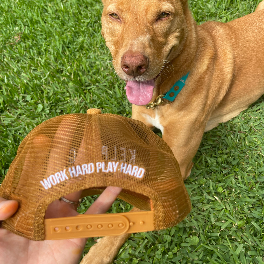 Kelpie Co. Golden Trucker Hat