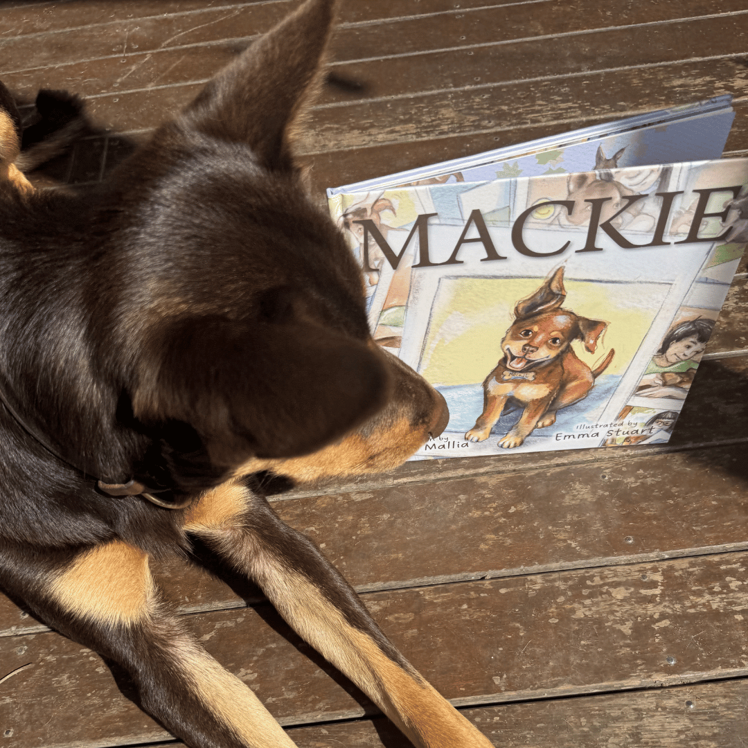 Mackie, Kelpie Hard Cover Children's Book