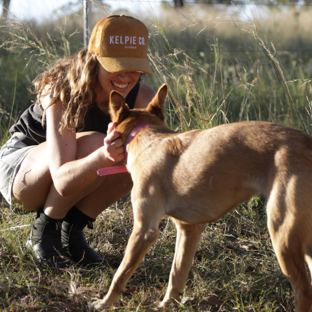 Kelpie Co. Golden Trucker Hat