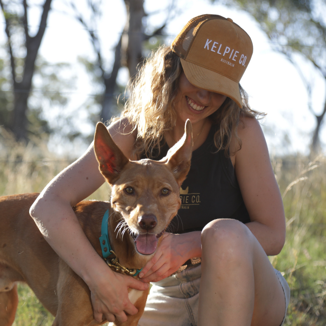 Kelpie Co. Golden Trucker Hat